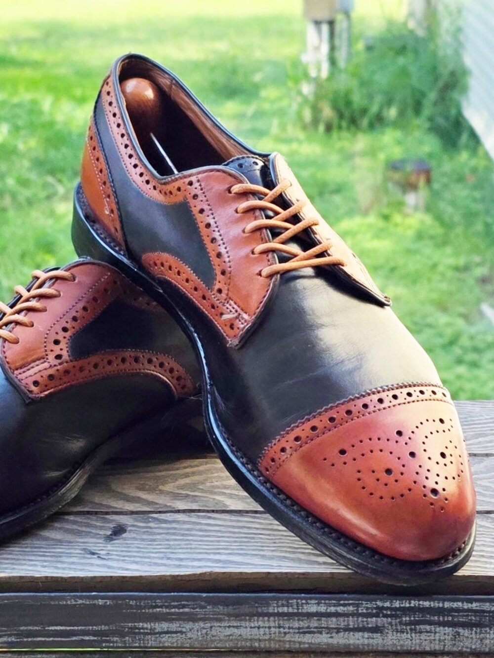 Allen Edmonds Multi-Color Sanford 8.5-D Cap Toe Derby Mens Leather Dress Shoes